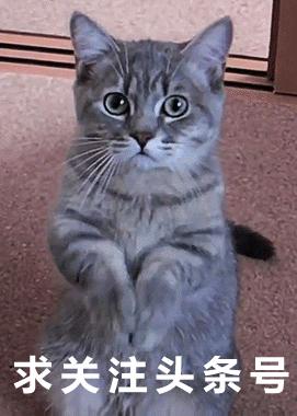 被200多斤的女胖子一屁股坐下去压着是什么感觉？