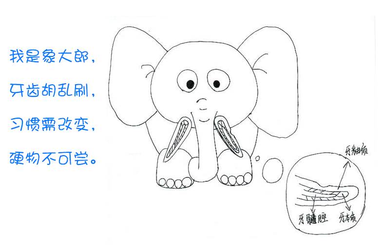 牙科薛大夫,薛大夫口腔