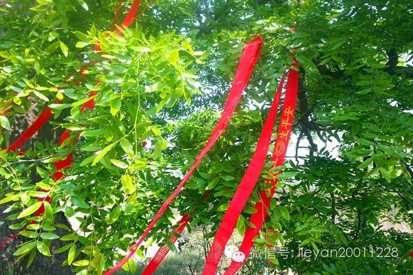 跨越千年时光看兵马俑,跨越千年唐十八陵