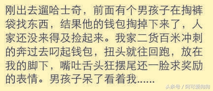哈士奇长的可爱,你家哈士奇真的不会自卑吗