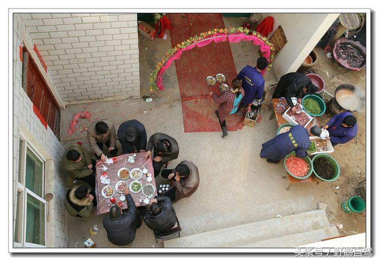 野鹅自驾甘肃,野鹅自驾