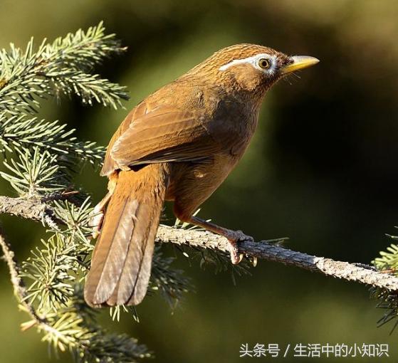 送老人的生日礼物手工,送老人生日礼物实用推荐