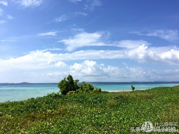 仙本那考潜水证日程,去仙本那潜水要考什么证