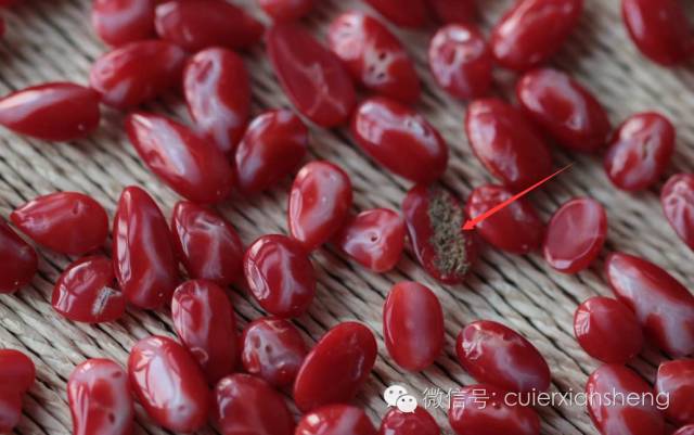 红珊瑚作假的手段,红珊瑚怎么知道是假的