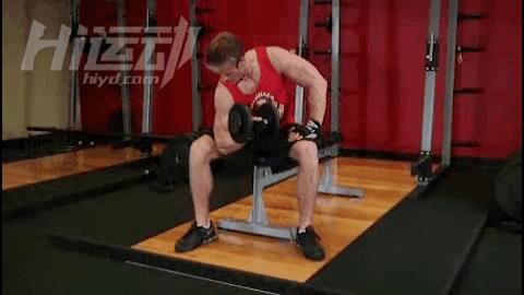 脊柱两侧肌肉不对称怎么调整,腹部左右肌肉不对称怎么调整