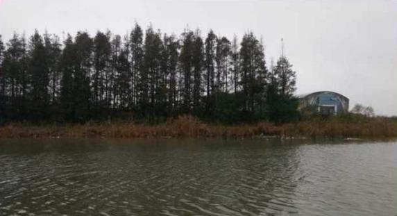 钓鱼人太牛！大风大雨中垂钓也能迎来鲤鲫大丰收