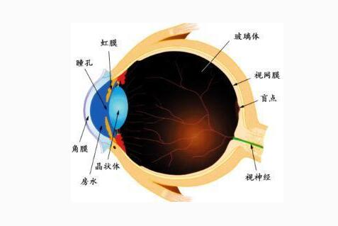漂亮的大眼睛千万别与甲状腺疾病扯上关系