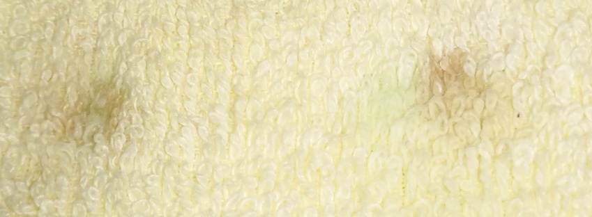 舒客电动牙刷更适合哪个牌子牙膏,舒客牙刷电动测评性价比高第一名