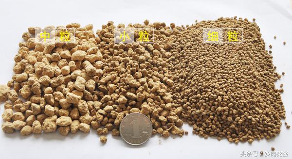 粗河沙可以当多肉的铺面石吗,多肉铺面石用小石子可以吗