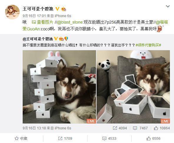 王思聪给王可可买的狗链挑衅了整个娱乐圈吴亦凡权志龙躺枪