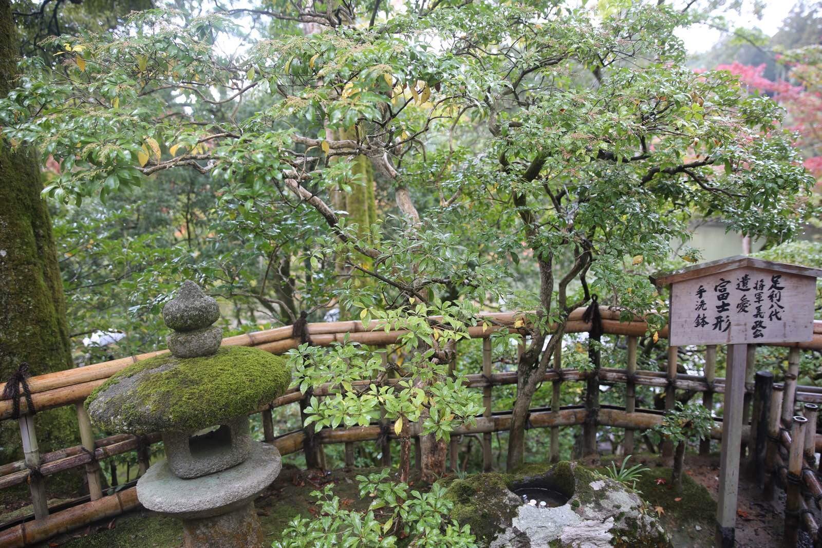 关西温泉六日游,大阪关西机场温泉