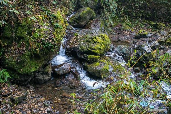 戏猴、爬山、观瀑布，那就跟我去卧龙谷！