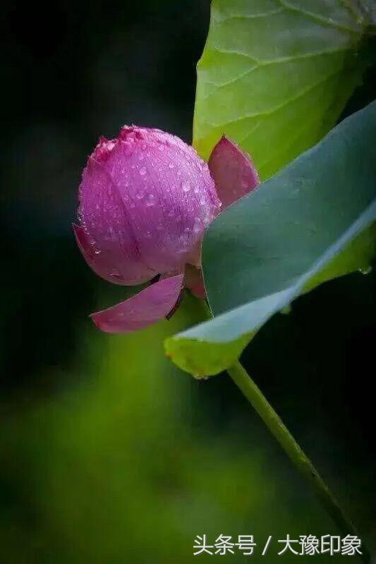 小说推荐韩思语,徐晟韩思语小说结局