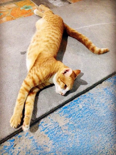 泰国天堂沙滩旅游,泰国天堂之城视频