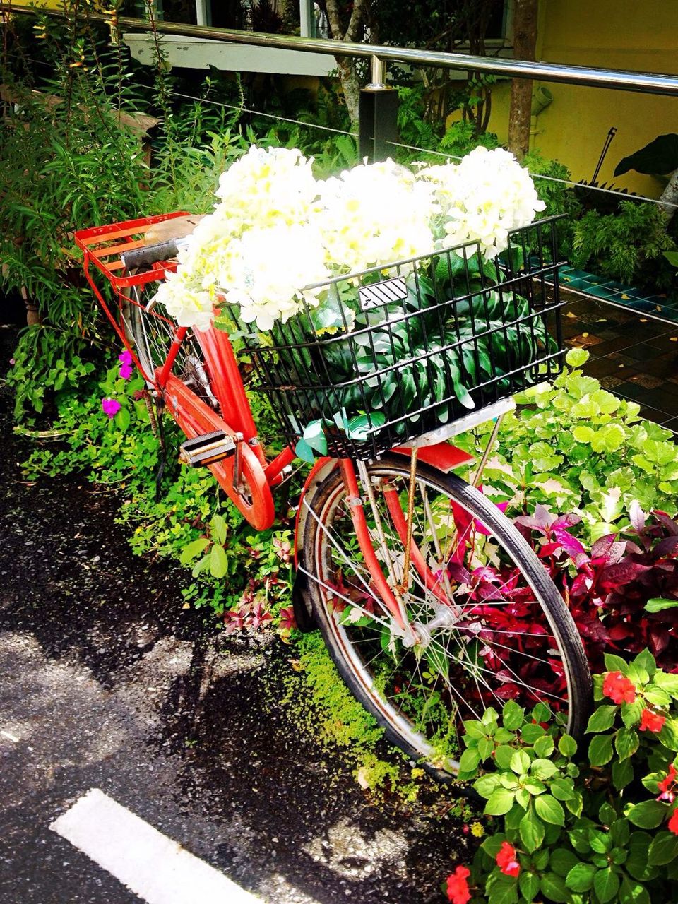 泰国天堂沙滩旅游,泰国天堂之城视频