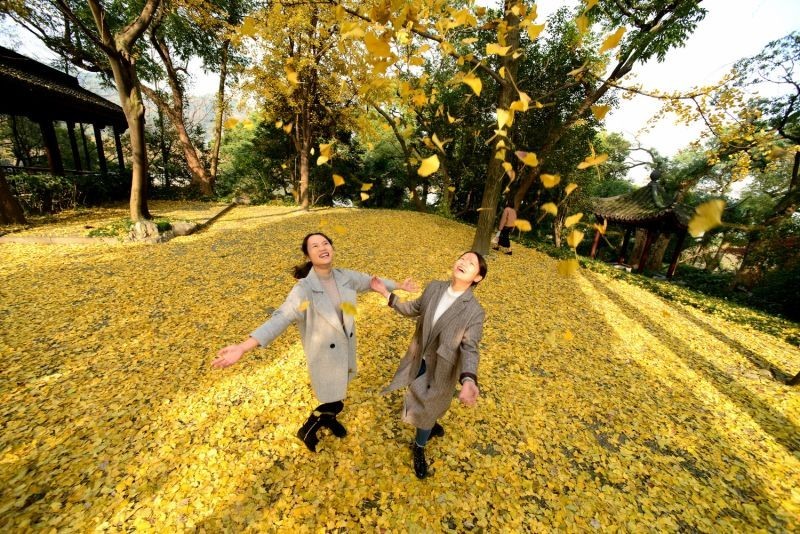 明天“大雪”！最低3℃丨小微请你免费看电影啦