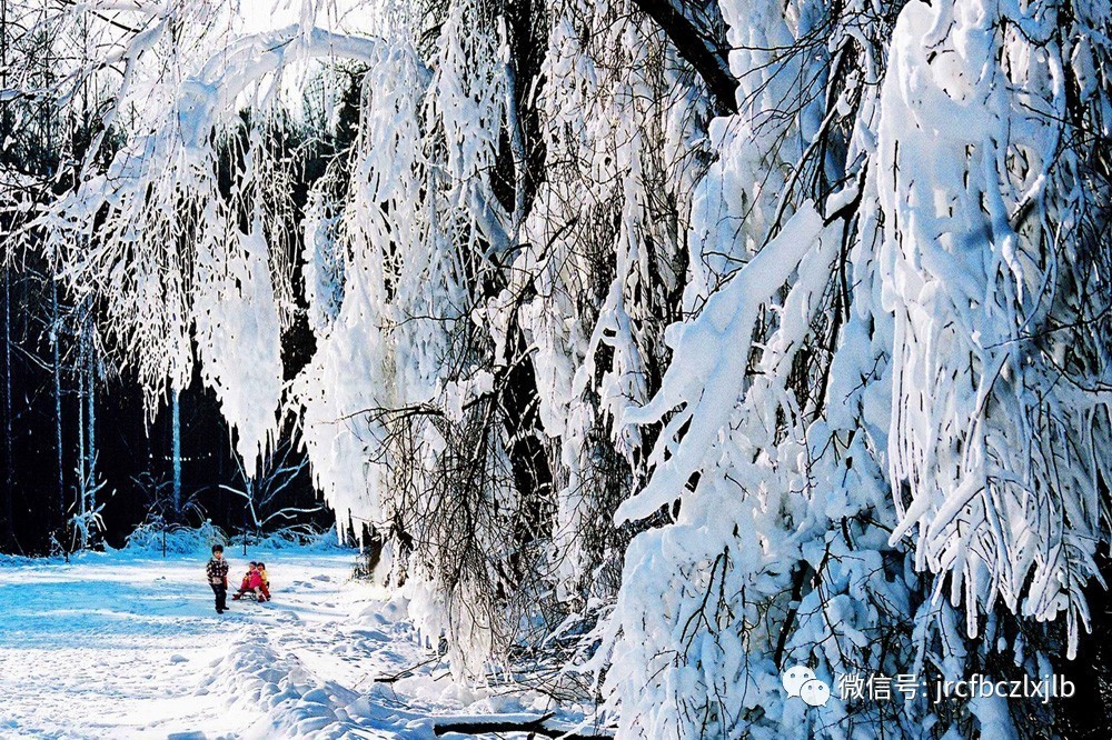 央视新闻1+1冰雪经济吉林省,吉林省冰雪旅游新闻