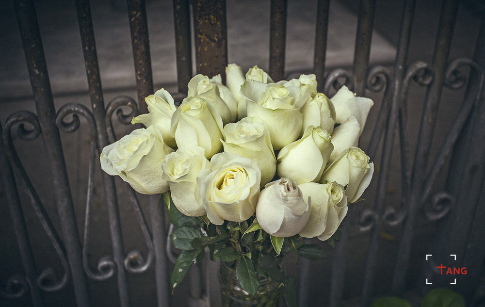 一起去澳门过圣诞,去澳门过圣诞