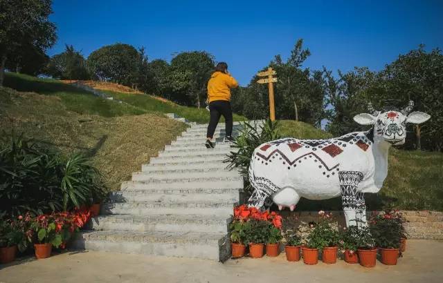 九峰万亩茶园,九峰森林动物园好不好玩