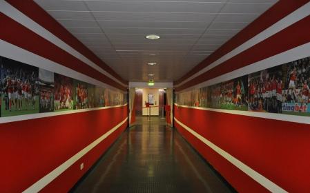 伊沃比简介,伊沃比个人资料