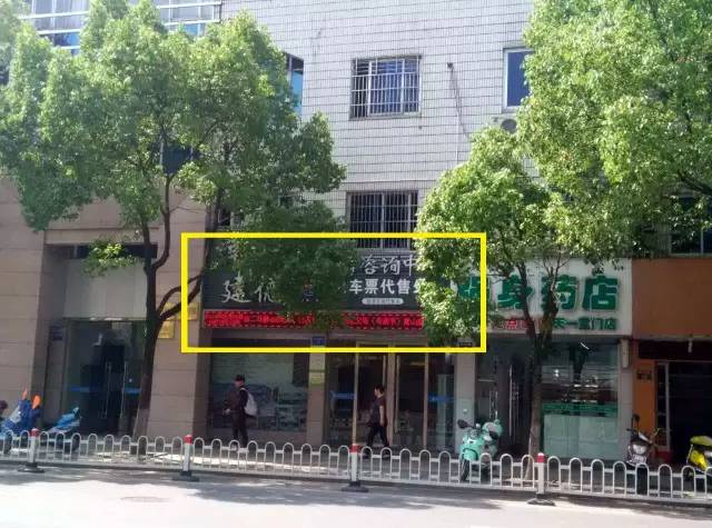 知秋叶,知秋叶紫