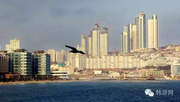 韩国济州岛旅游交通怎么办,韩国济州岛济州城怎么上去