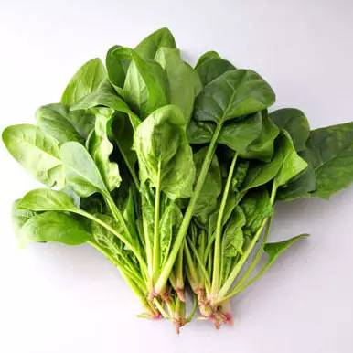 蔬菜种子识别图片,常见蔬菜种子认识