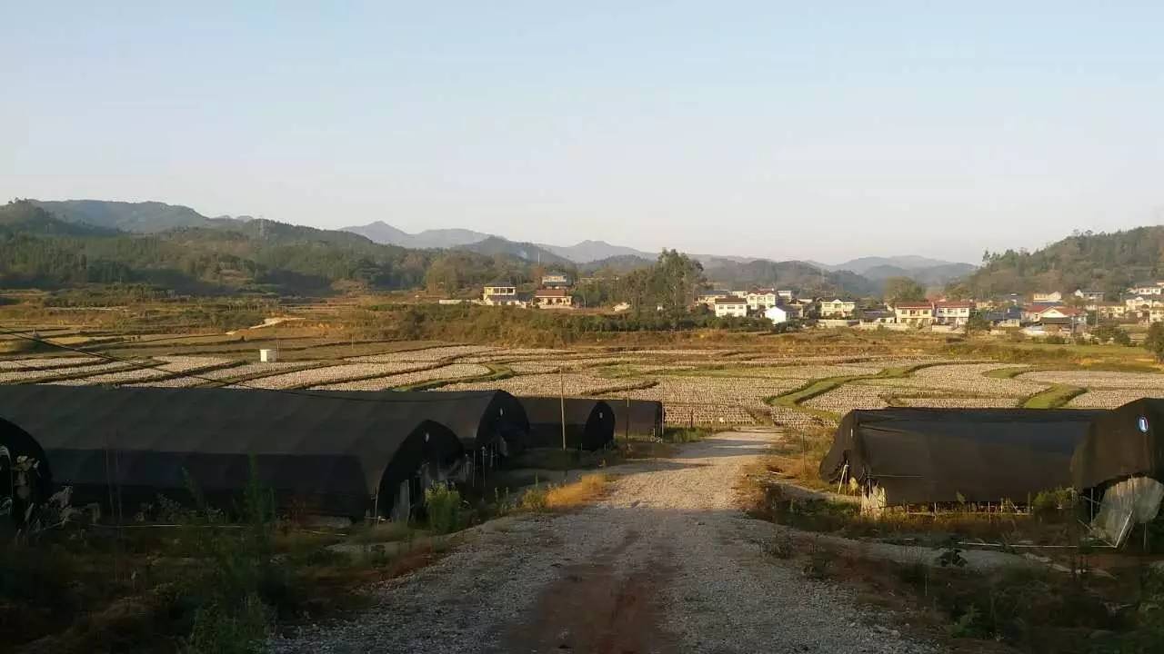 鹤城很美,鹤城好玩的