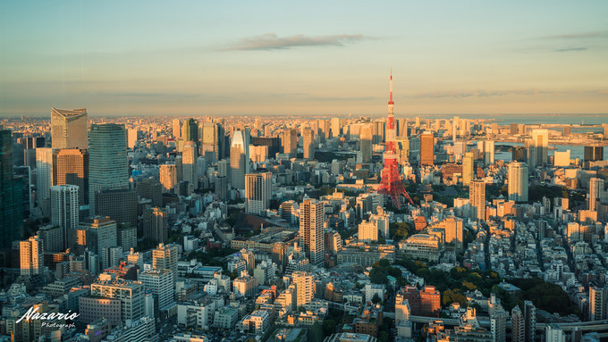 粉红猪小妹与小猪佩奇,粉红猪小妹的快乐生活