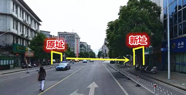 知秋叶,知秋叶紫