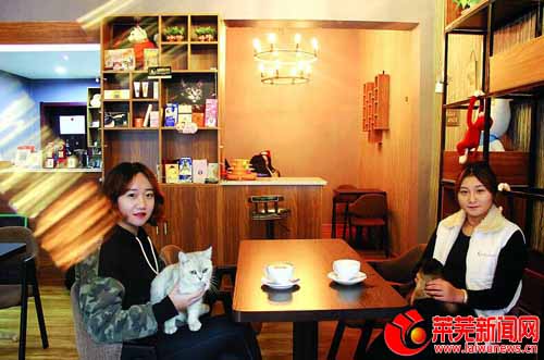 董花园装修,董花园