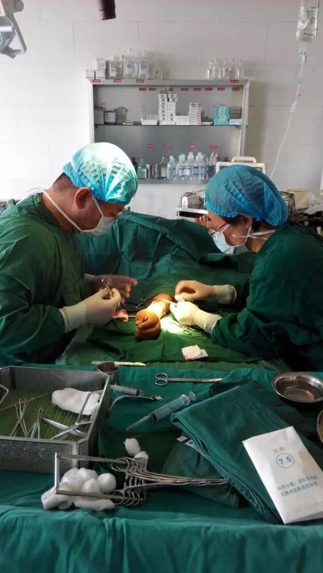 愿将此心换彼心——记我院肾病科王培真主任