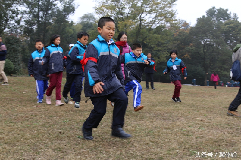 把课堂搬到森林里！去森林趣体验！