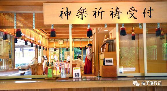 樱花旅行记全集视频,日本樱花7日游攻略大全