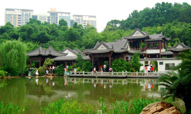 东莞周末好去处植物园,东莞适合聚餐游玩的地方