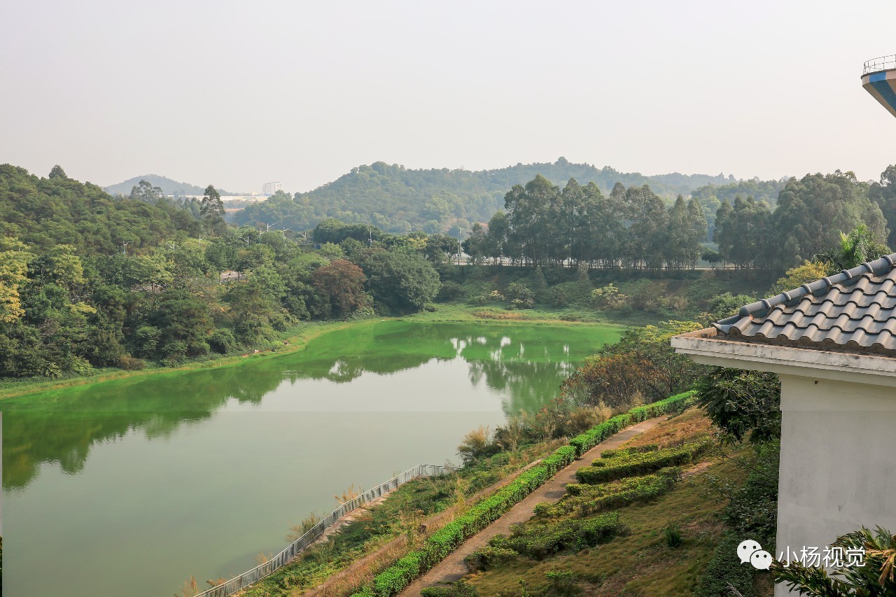 新旧老照片对比人物,新旧照片对比视频