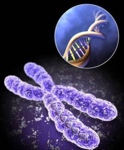 羊水穿刺检查费是多少钱,羊水穿刺检查染色体