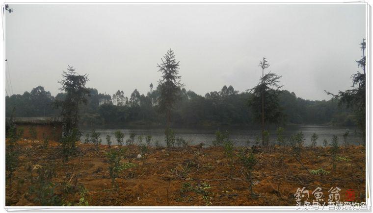 两钓一闲水凑成一个发