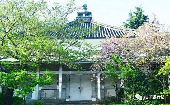 樱花旅行记全集视频,樱花季日本14天旅游攻略