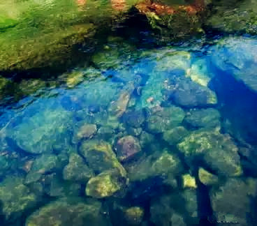 旅游游记到农村01：去看姑婆，农村的小植物治好了我的鼻炎