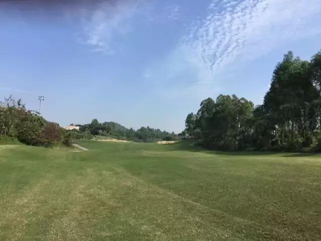 世界冠军专程助阵,为参赛球队提供总决赛球场最全攻略