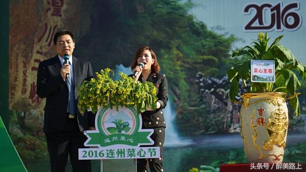 连州菜心拍卖最高价,至尊连州菜心什么价