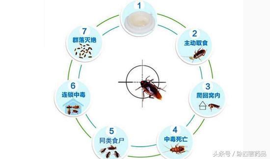 蟑螂药推荐真实好用第一名,最好用的蟑螂药推荐非广告