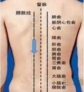 养肾健康第一重要,养肾三大秘法