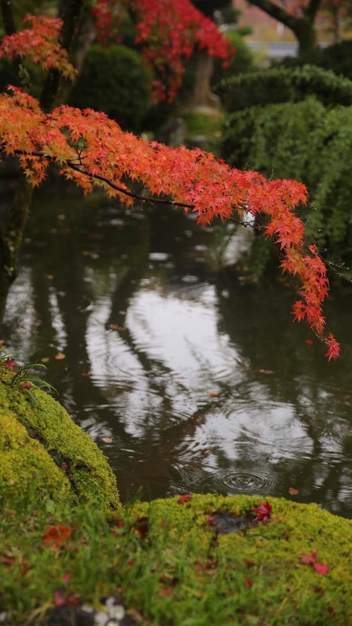日本关西温泉圣地,日本关西房间内温泉