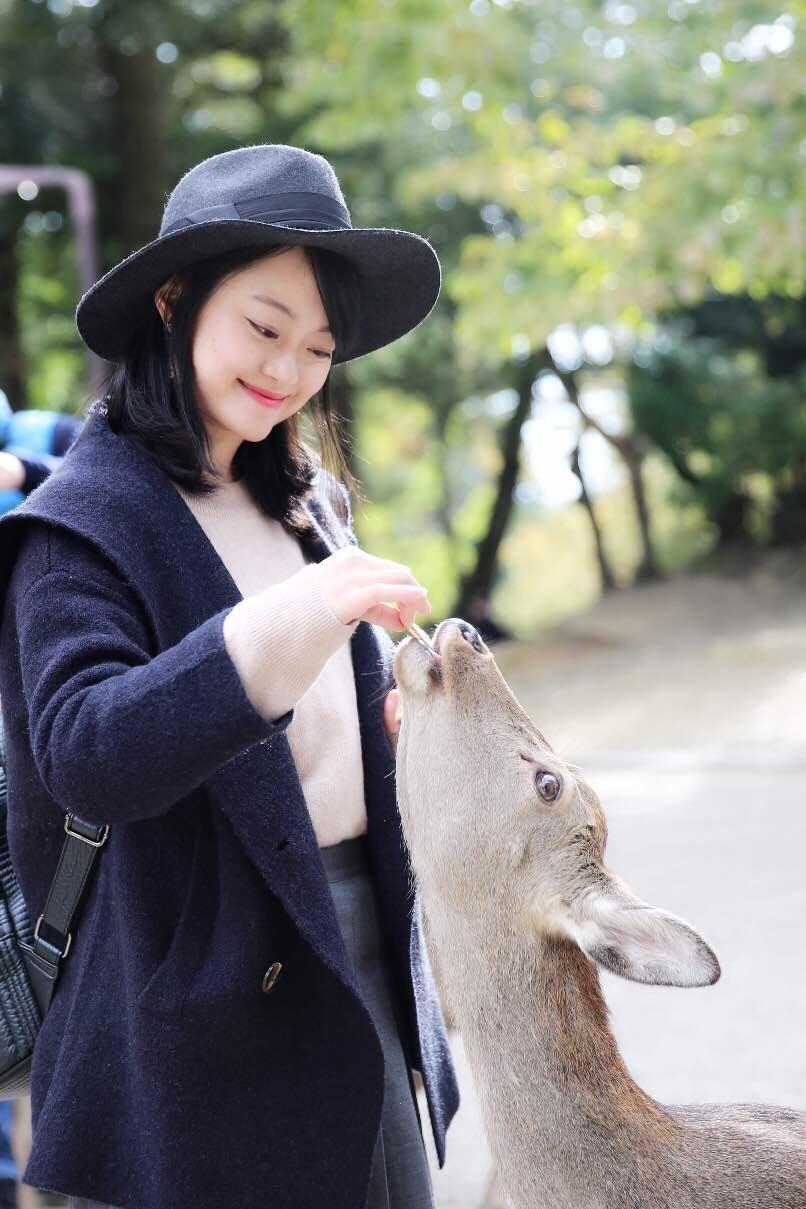 日本关西温泉圣地,日本关西房间内温泉