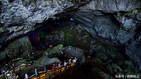 连州菜心拍卖最高价,至尊连州菜心什么价