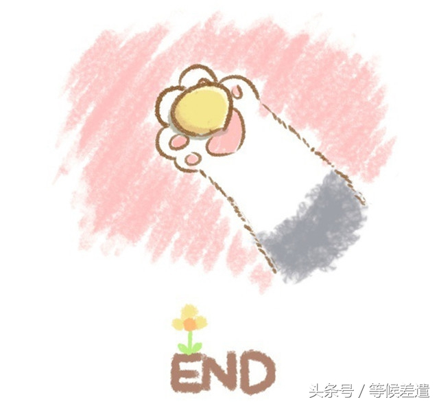 治愈系良方解救你的空虚寂寞冷