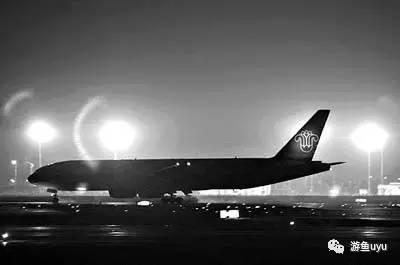 萨利机长细节解析,萨利机长迫降失败集锦