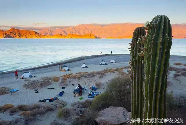 最齐全的各国风俗礼仪！不出国旅行，这些你也要懂！